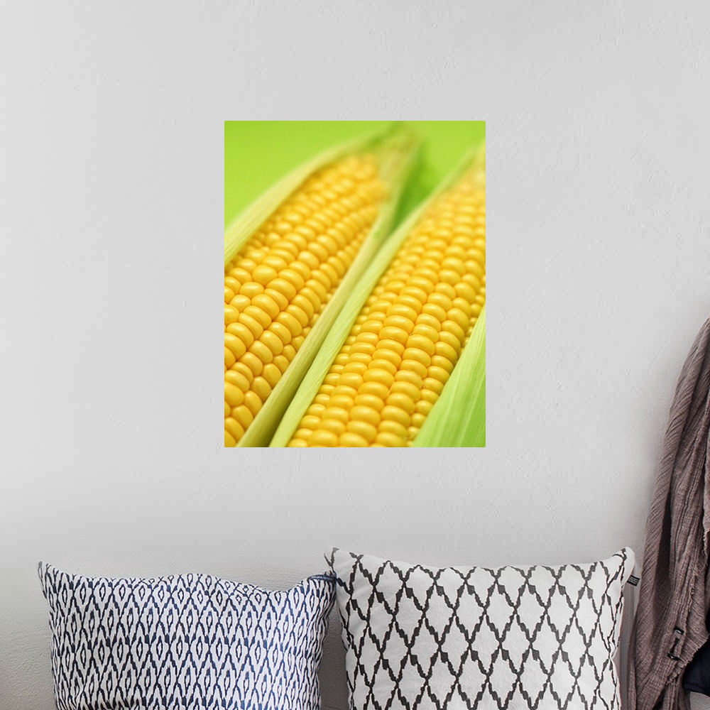 A bohemian room featuring Corn
