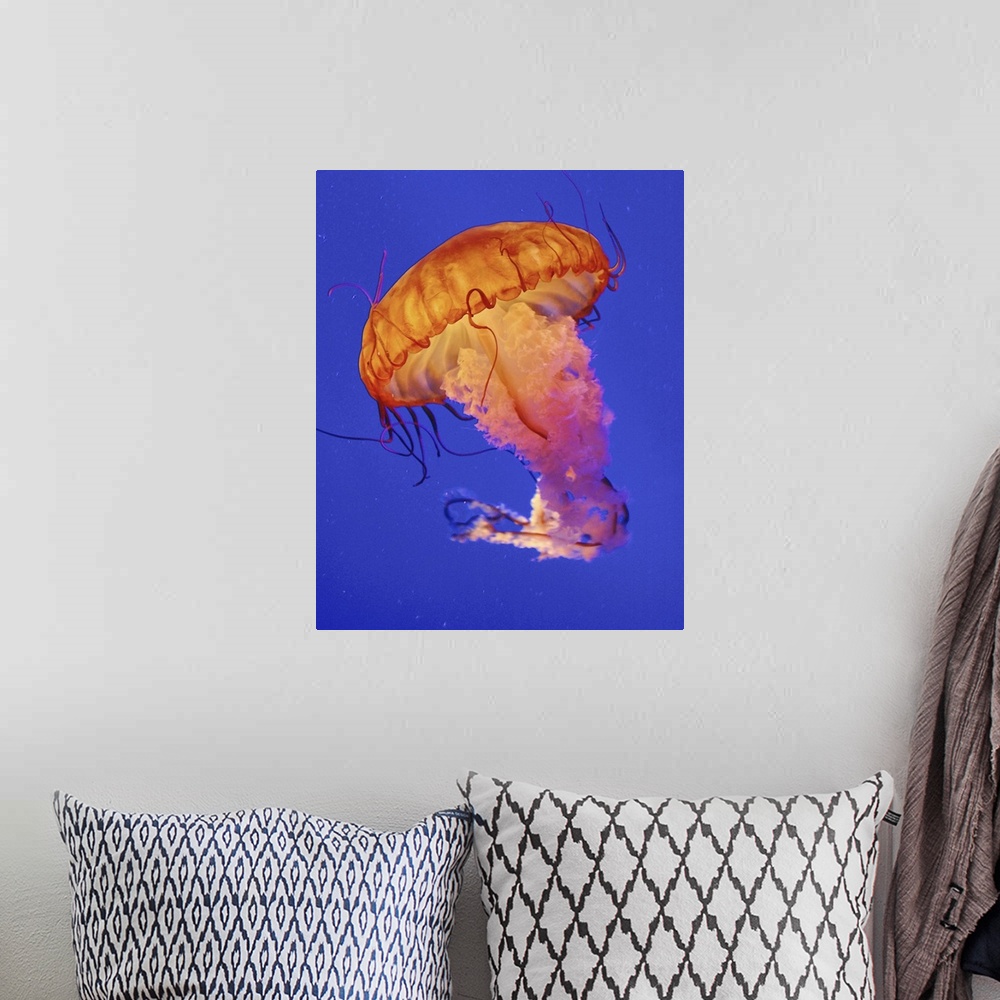 A bohemian room featuring Jelly fish.