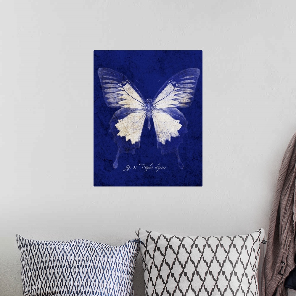 A bohemian room featuring Blue Mountain Butterfly Cyanotype