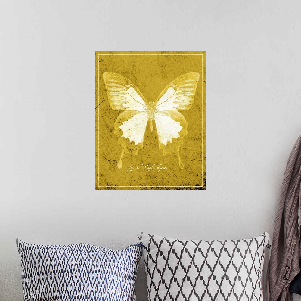 A bohemian room featuring Butterfly L