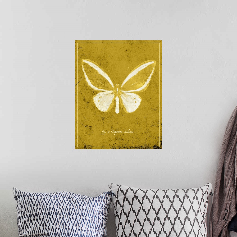 A bohemian room featuring Butterfly XI