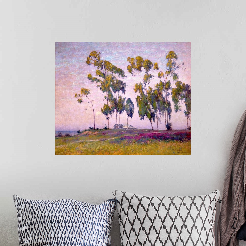 A bohemian room featuring Eucalyptus and Moonrise