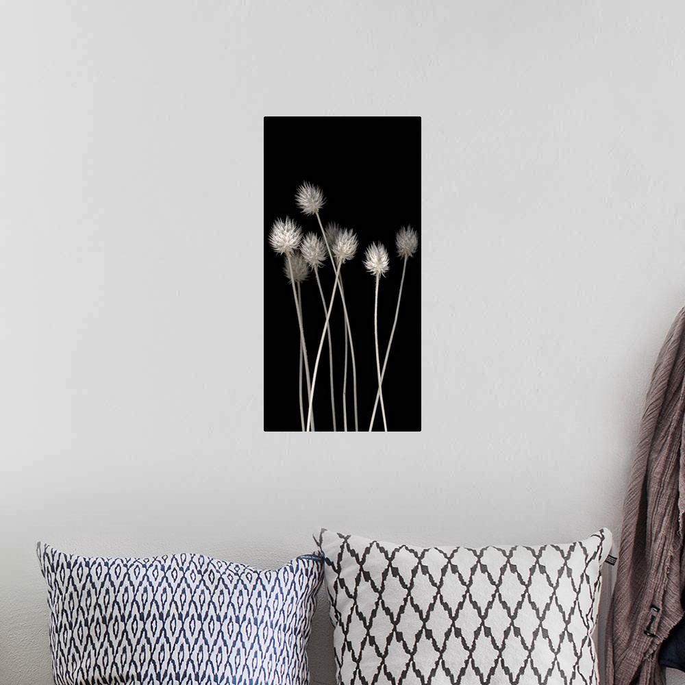 A bohemian room featuring Long vertical photograph of dried flowers.