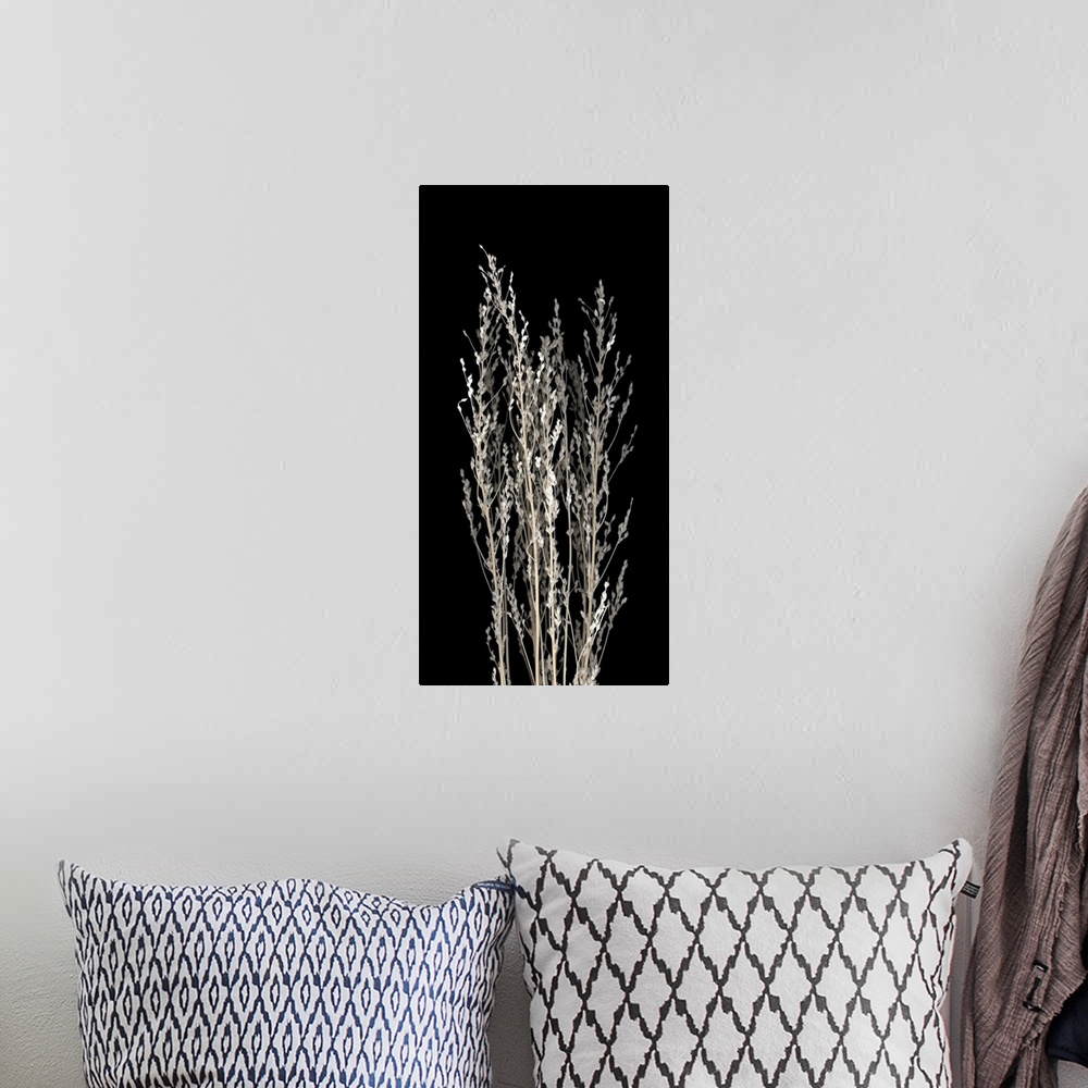 A bohemian room featuring Long vertical photograph of dried flowers.