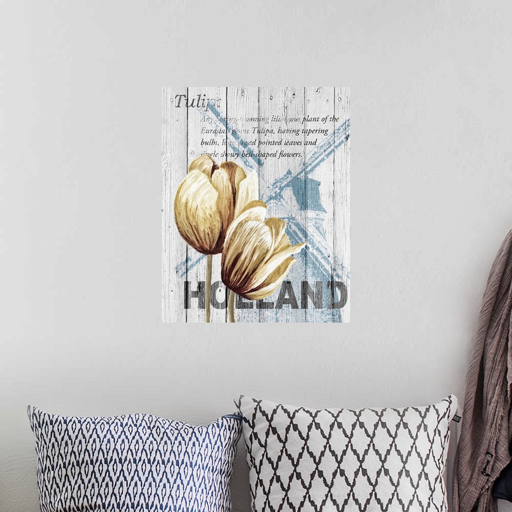 A bohemian room featuring Holland Tulips