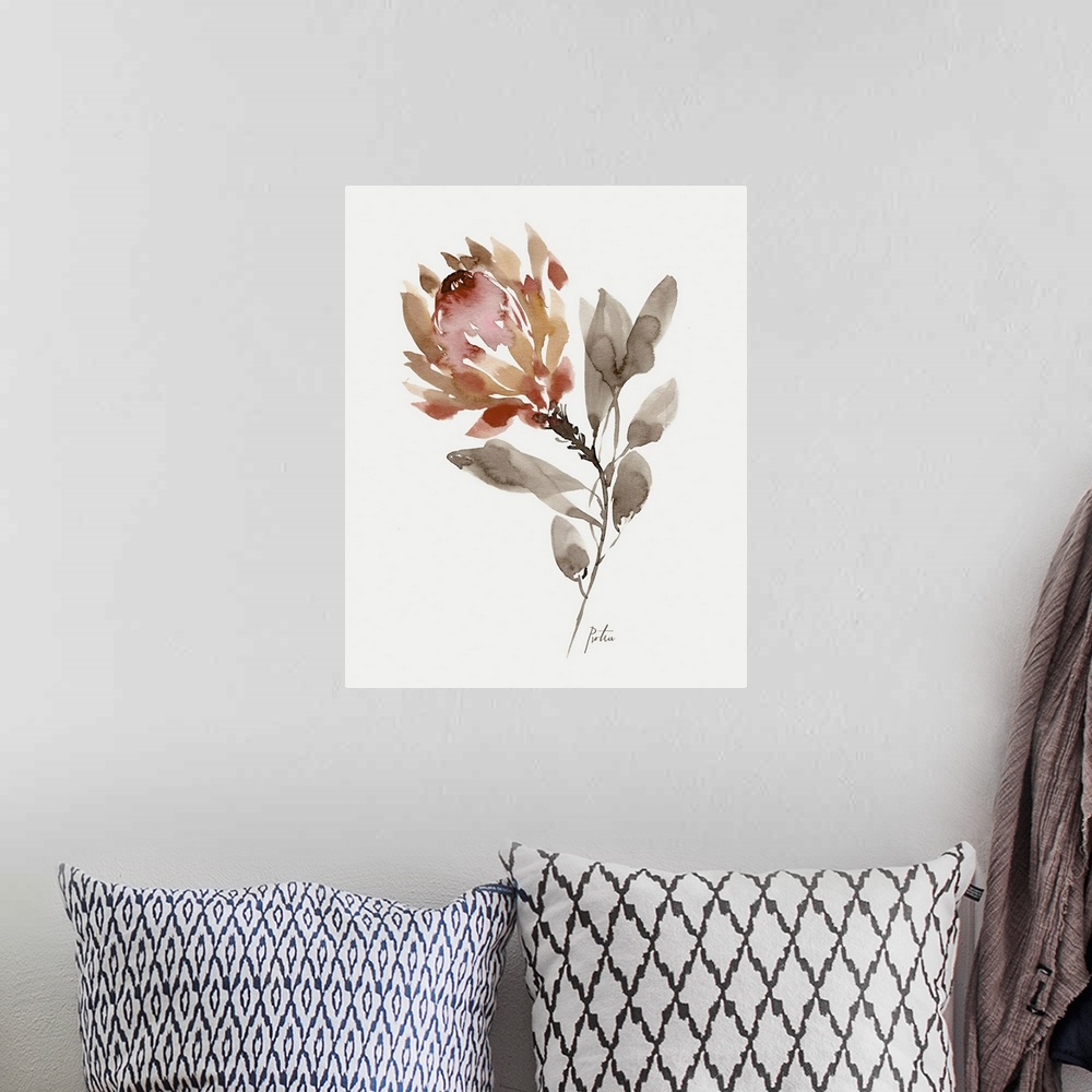 A bohemian room featuring Wild King Protea