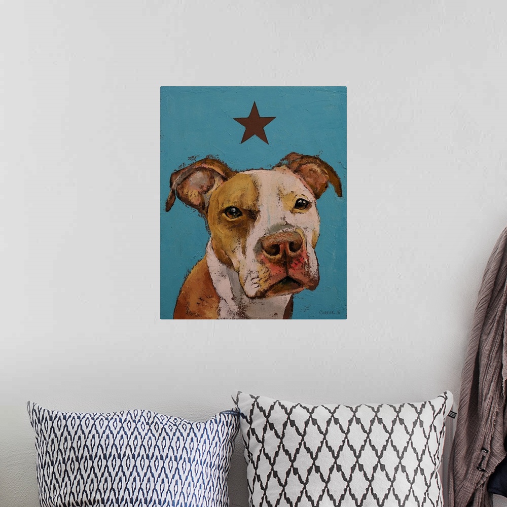 A bohemian room featuring American Pit Bull