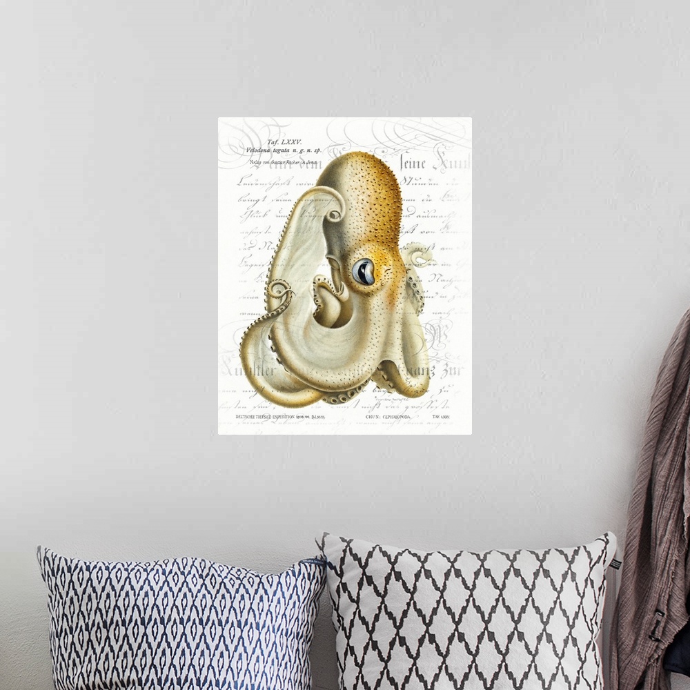 A bohemian room featuring A vintage paint brush rendition of Velodona octopus illustration from Deutschen Tiefsee-Expeditio...