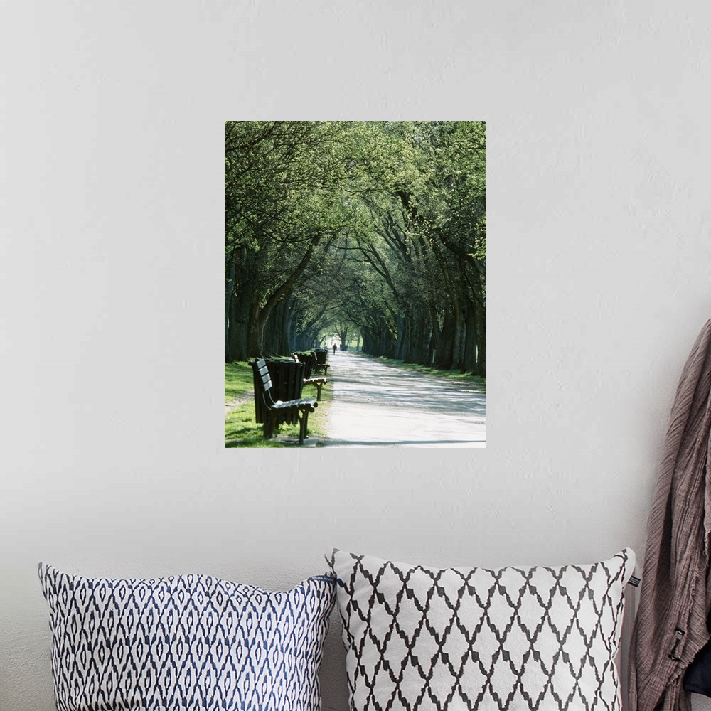 A bohemian room featuring Vertical photograph on a big canvas of a paved walkway lined with benches and trash cans, large t...