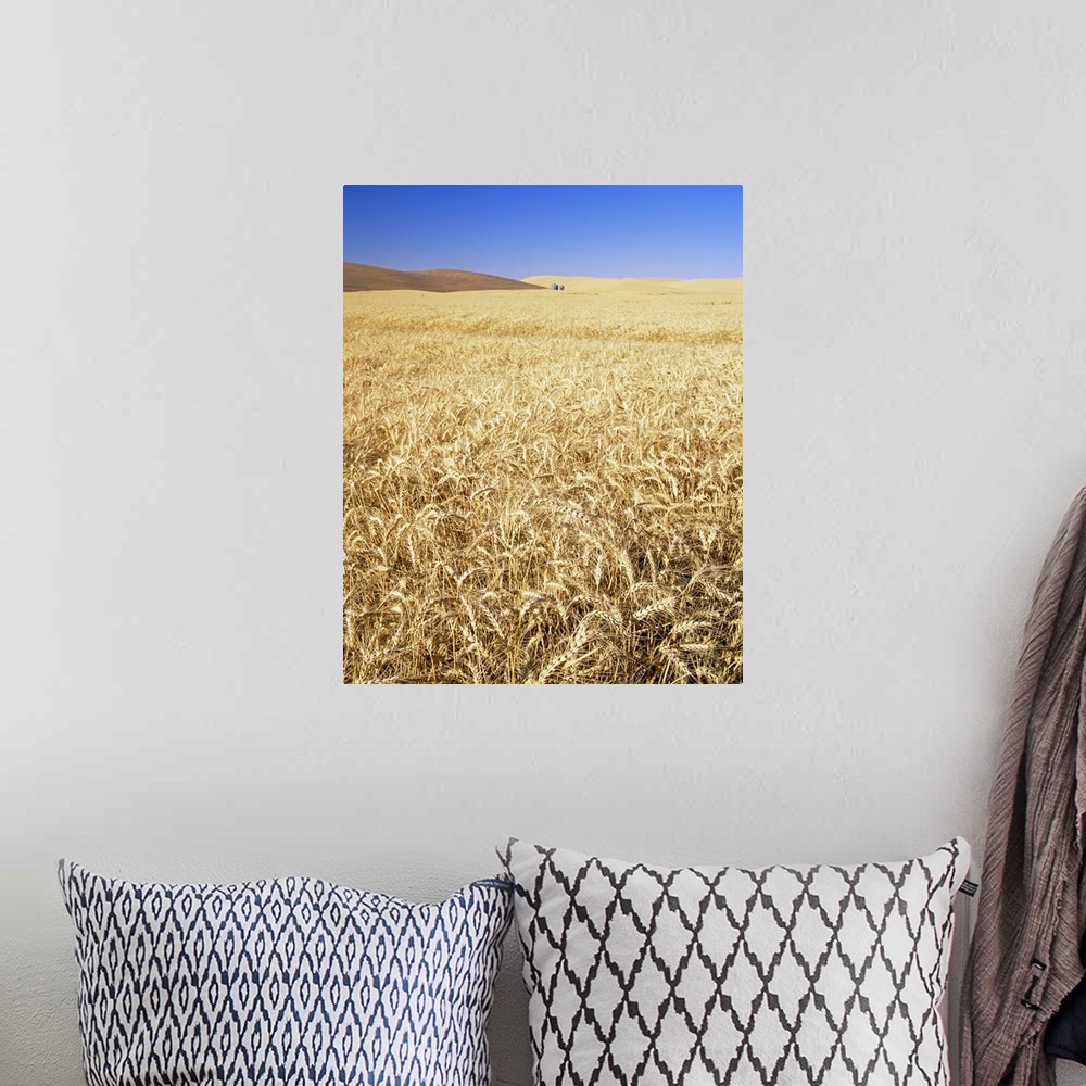 A bohemian room featuring Silo in a wheat field, Palouse Country, Washington State