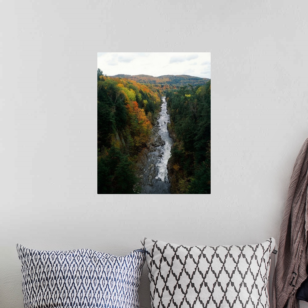 A bohemian room featuring Stream flowing in a forest, Quechee Gorge, Windsor County, Vermont,