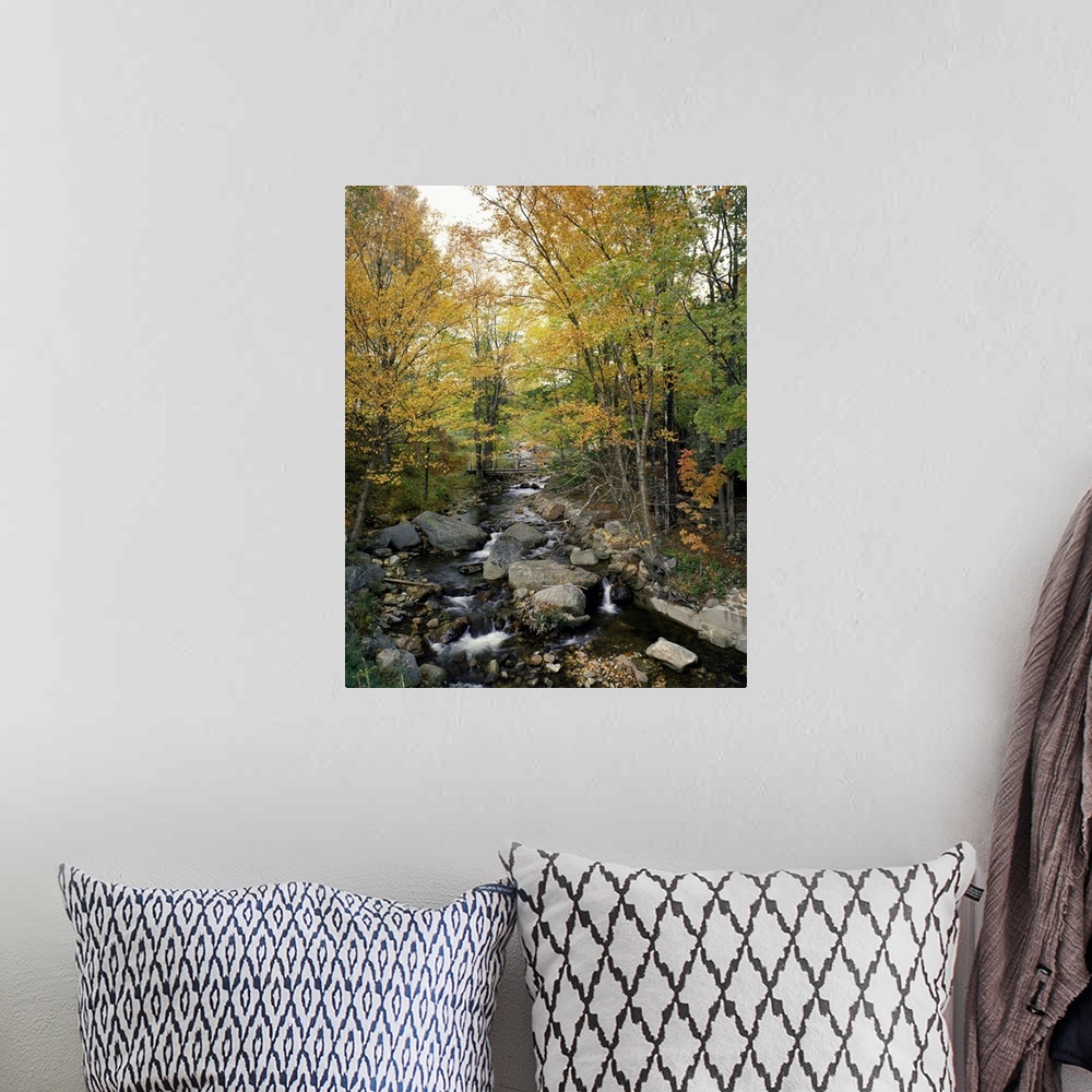 A bohemian room featuring Vertical photograph on a large canvas of a rocky stream running through an autumn colored forest ...