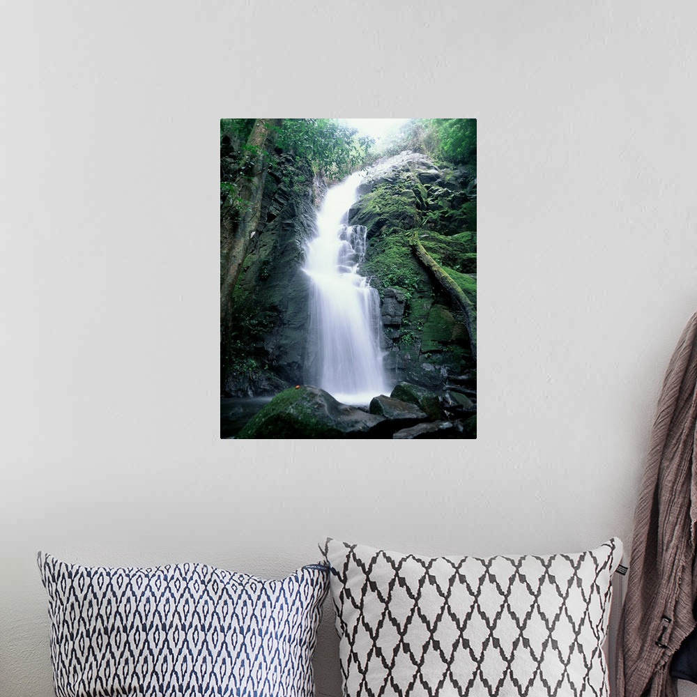 A bohemian room featuring Tropical Waterfall Costa Rica