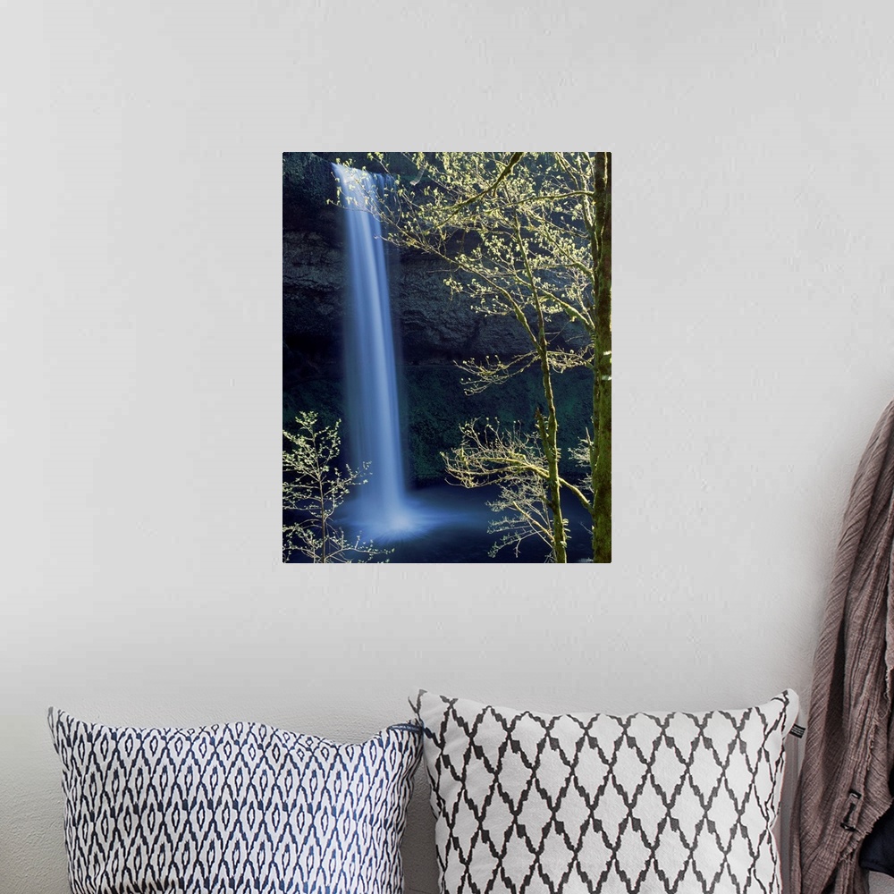 A bohemian room featuring Silver creek , South Falls, Silver Falls State Park, Oregon