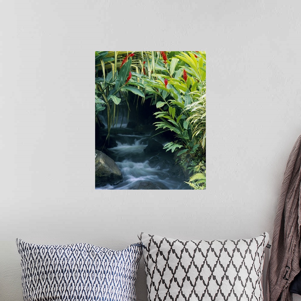 A bohemian room featuring View of a waterfall peeking through foliage that forms a natural arch over the rushing water below.