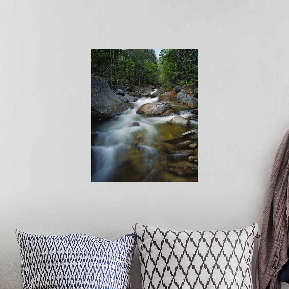 A bohemian room featuring Tall photo on canvas of water rushing through rocks in a stream running through a forest.