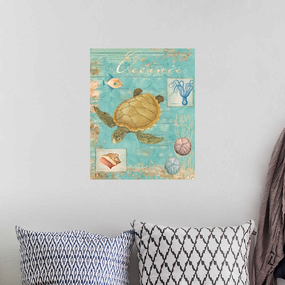 A bohemian room featuring Collage of a sea turtle and other marine elements, including shells and an octopus.