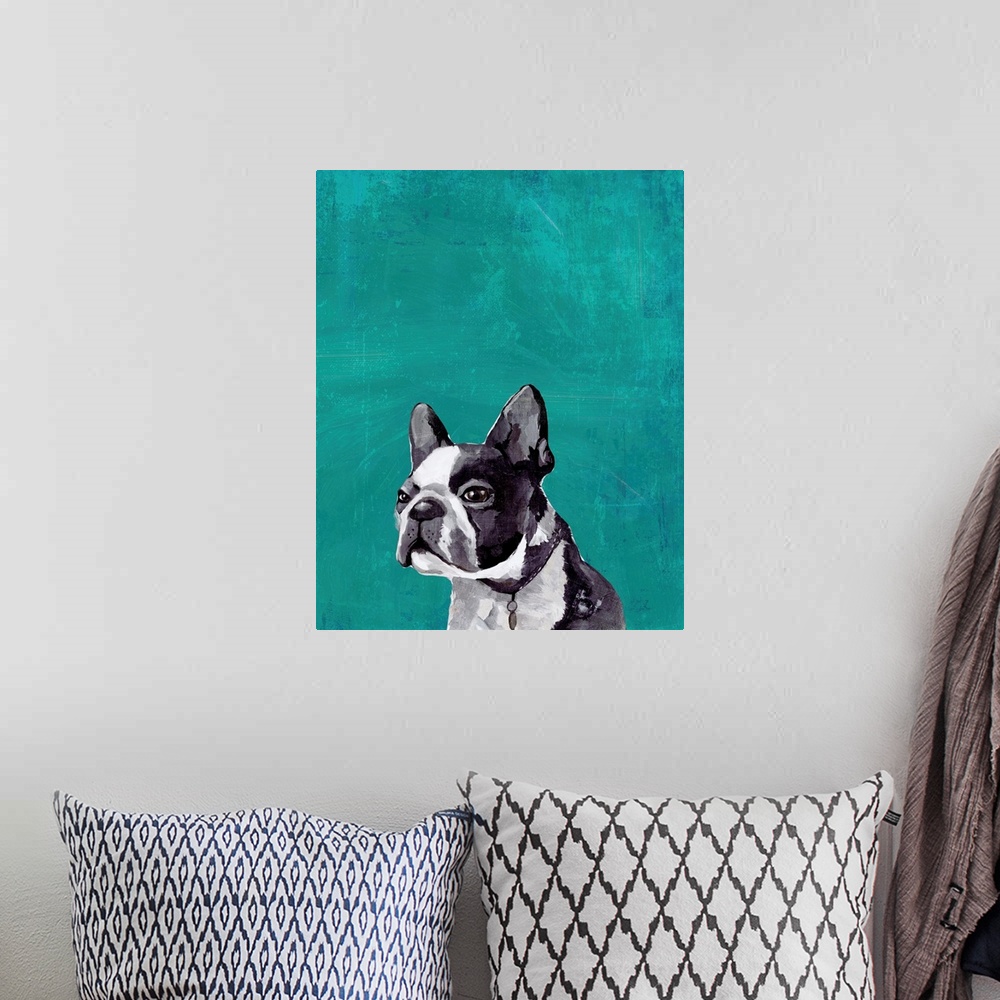 A bohemian room featuring Frenchie Puppy