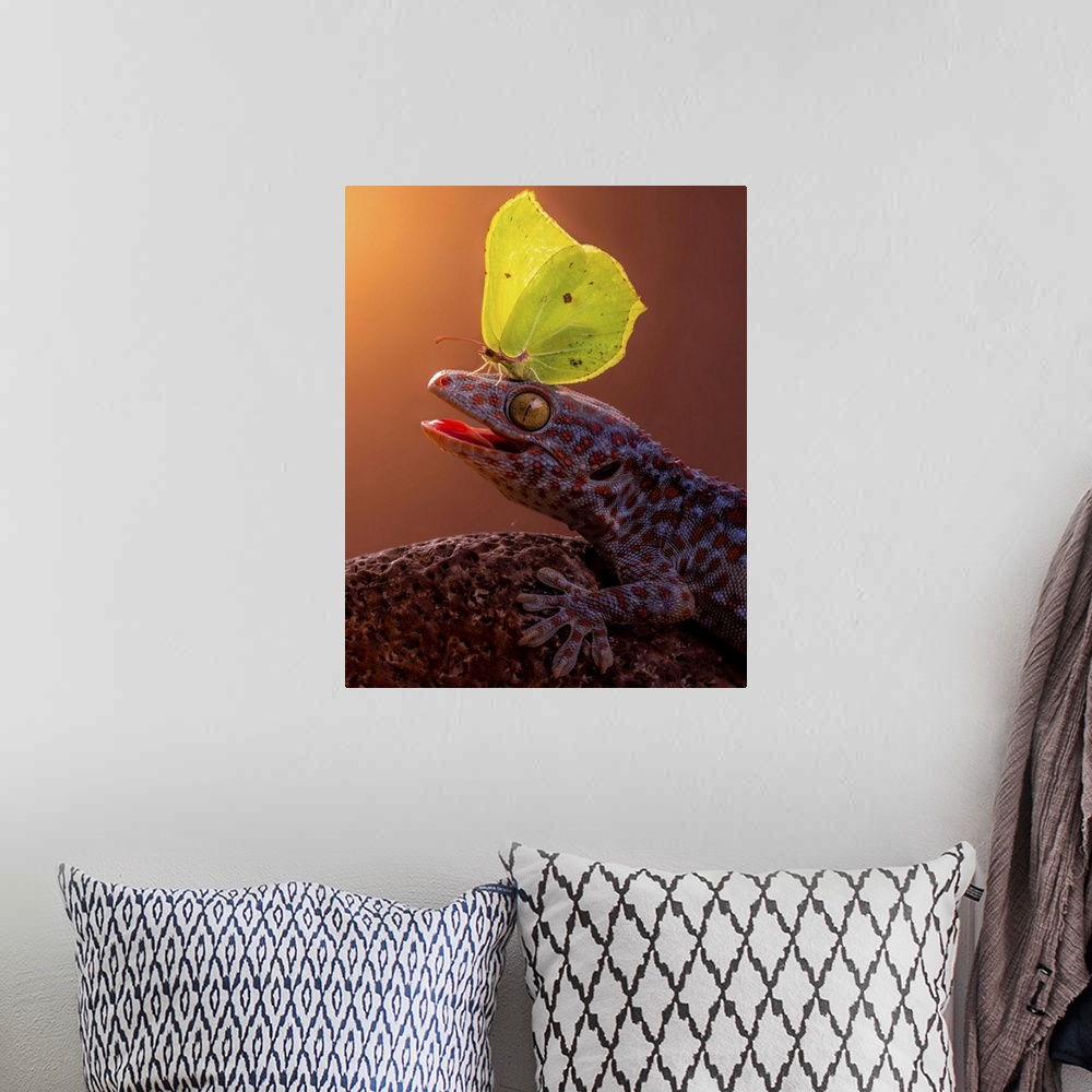 A bohemian room featuring A yellow butterfly perched on the head of a gecko.