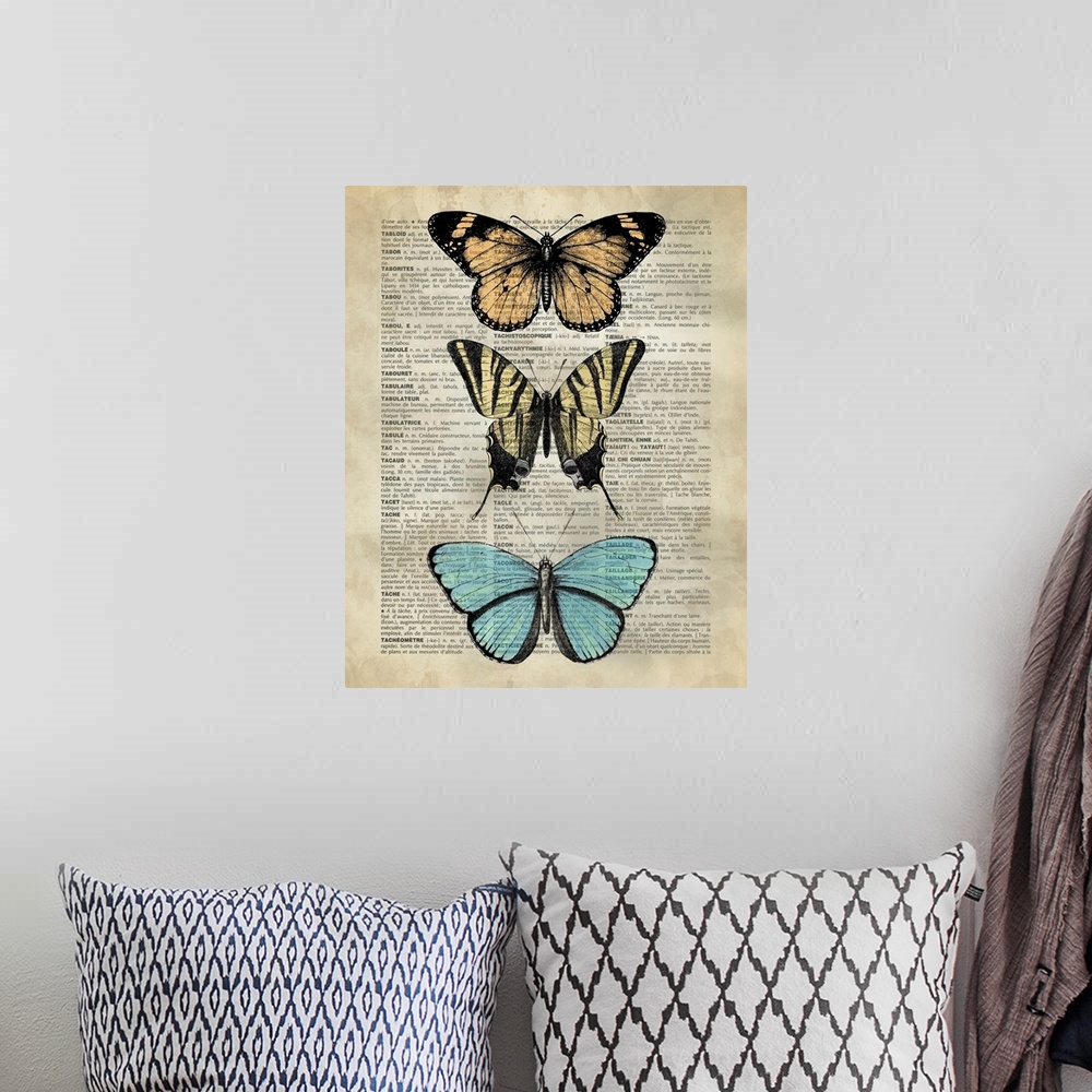 A bohemian room featuring Vintage Dictionary Art: Butterfly Specimen