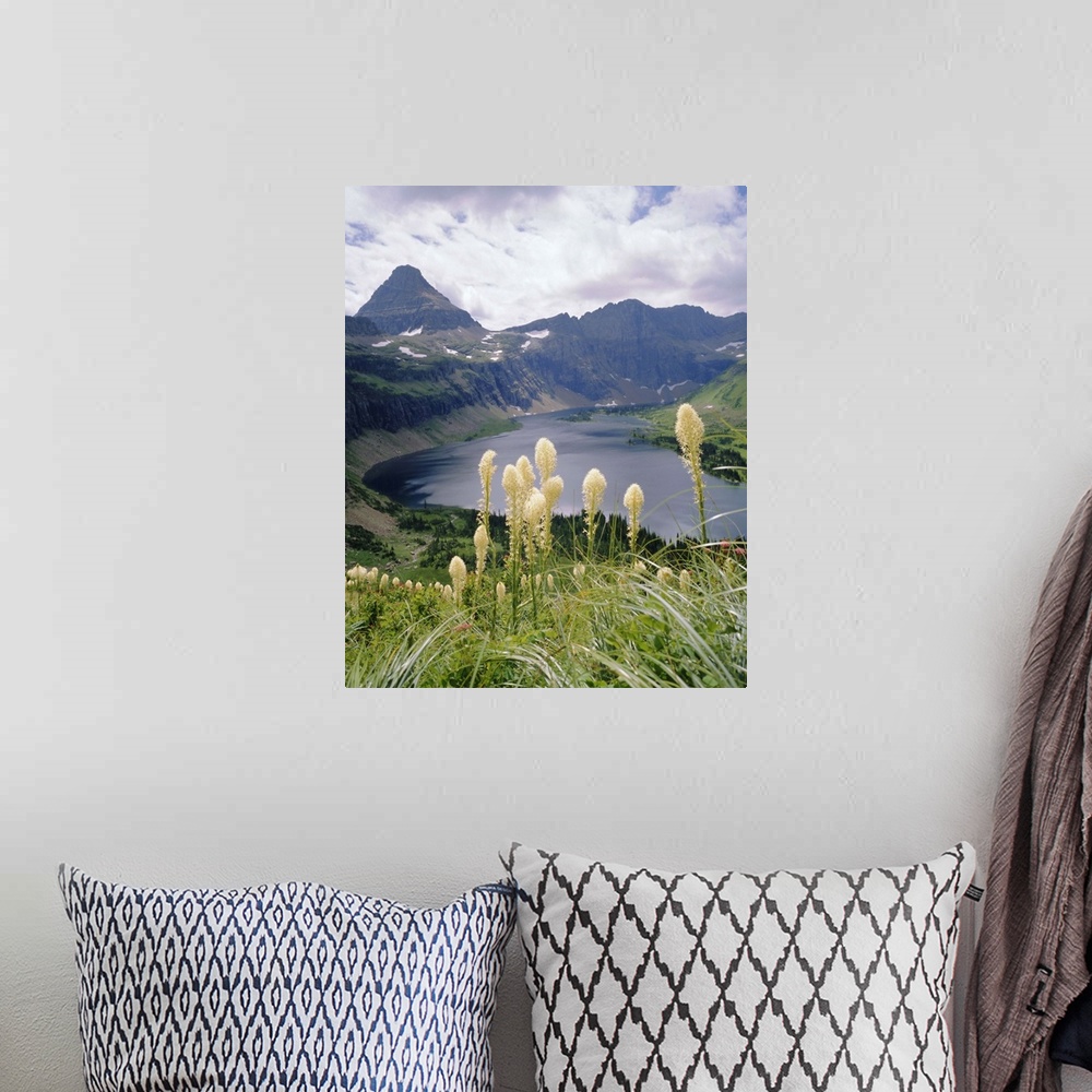 A bohemian room featuring Beargrass, Hidden Lake and Mount Reynolds, Glacier National Park, Montana