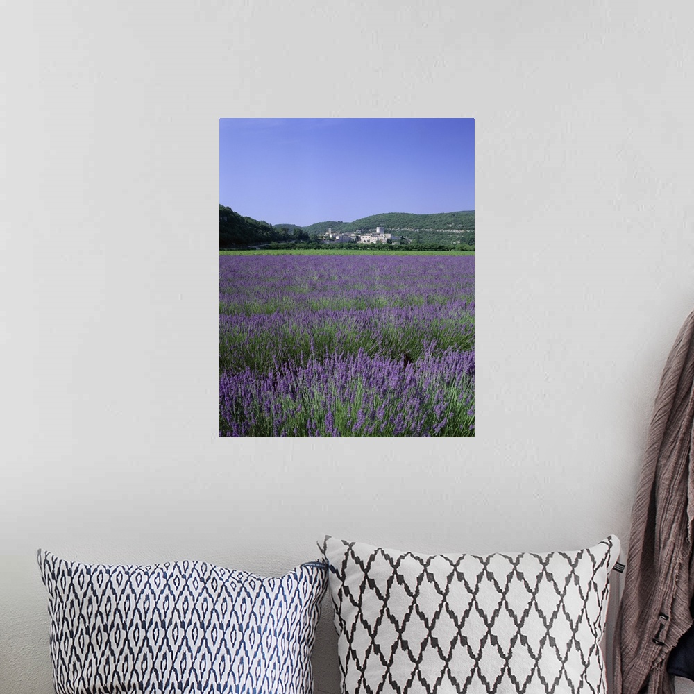 A bohemian room featuring Lavender fields and the village of Montclus, Gard, Languedoc-Roussillon, France