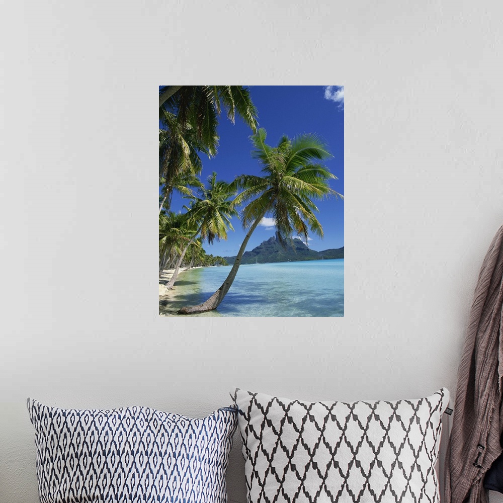 A bohemian room featuring Palm trees fringe the tropical beach and sea on Bora Bora (Borabora), Tahiti