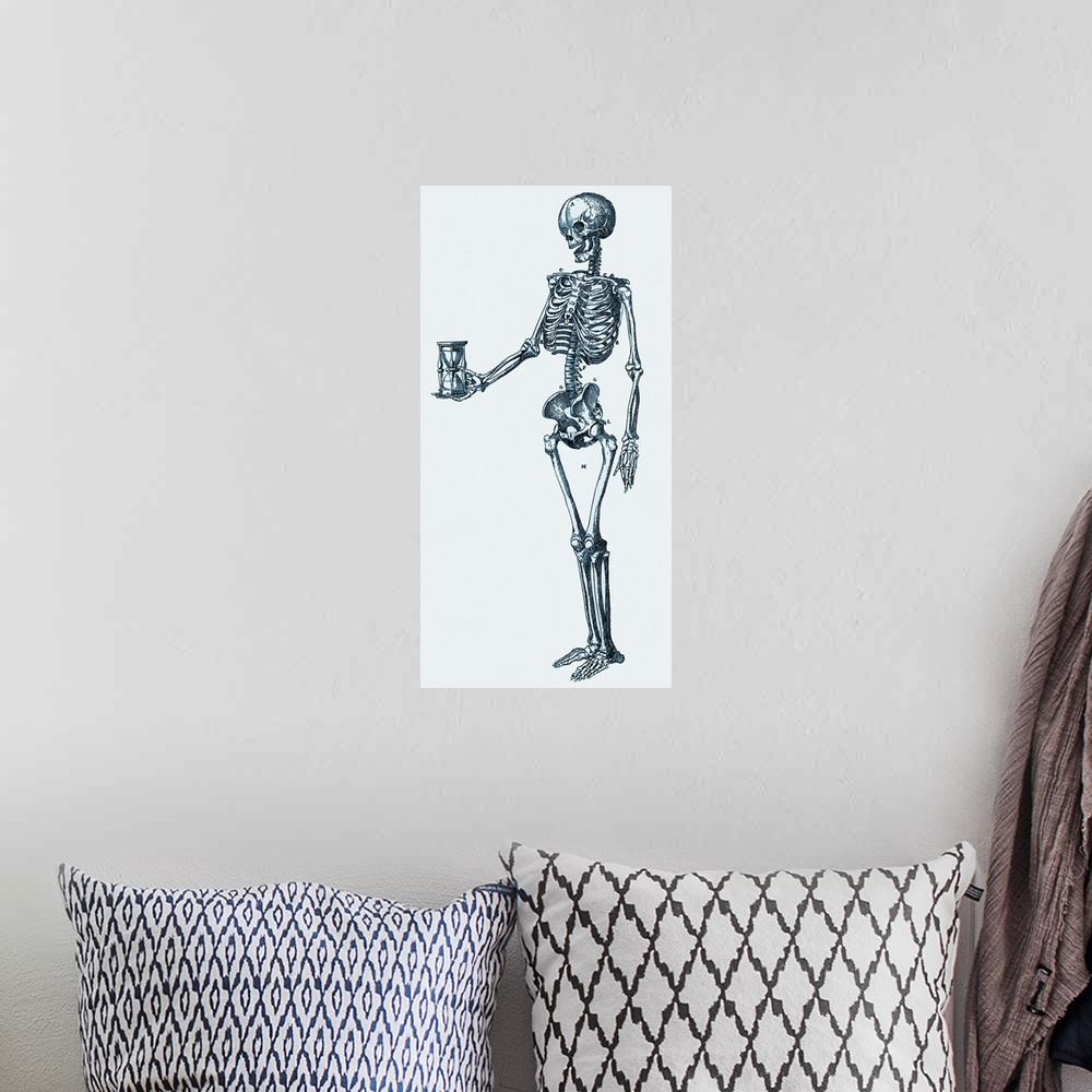 A bohemian room featuring Human skeleton. Historical artwork of a human skeleton holding an hourglass. The 206 bones of the...