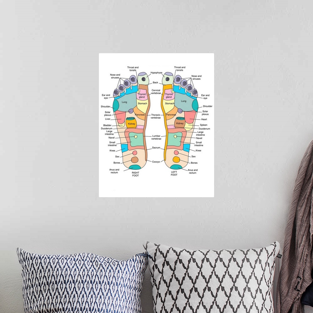 A bohemian room featuring Reflexology foot map, artwork. Reflexology is a form of alternative medicine in which disorders i...
