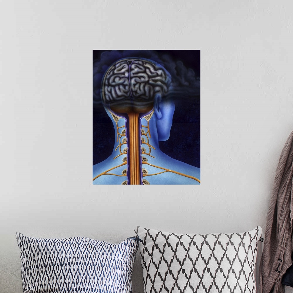 A bohemian room featuring Schematic showing back of brain and spinal cord. Head in dark cloud indicating depression.