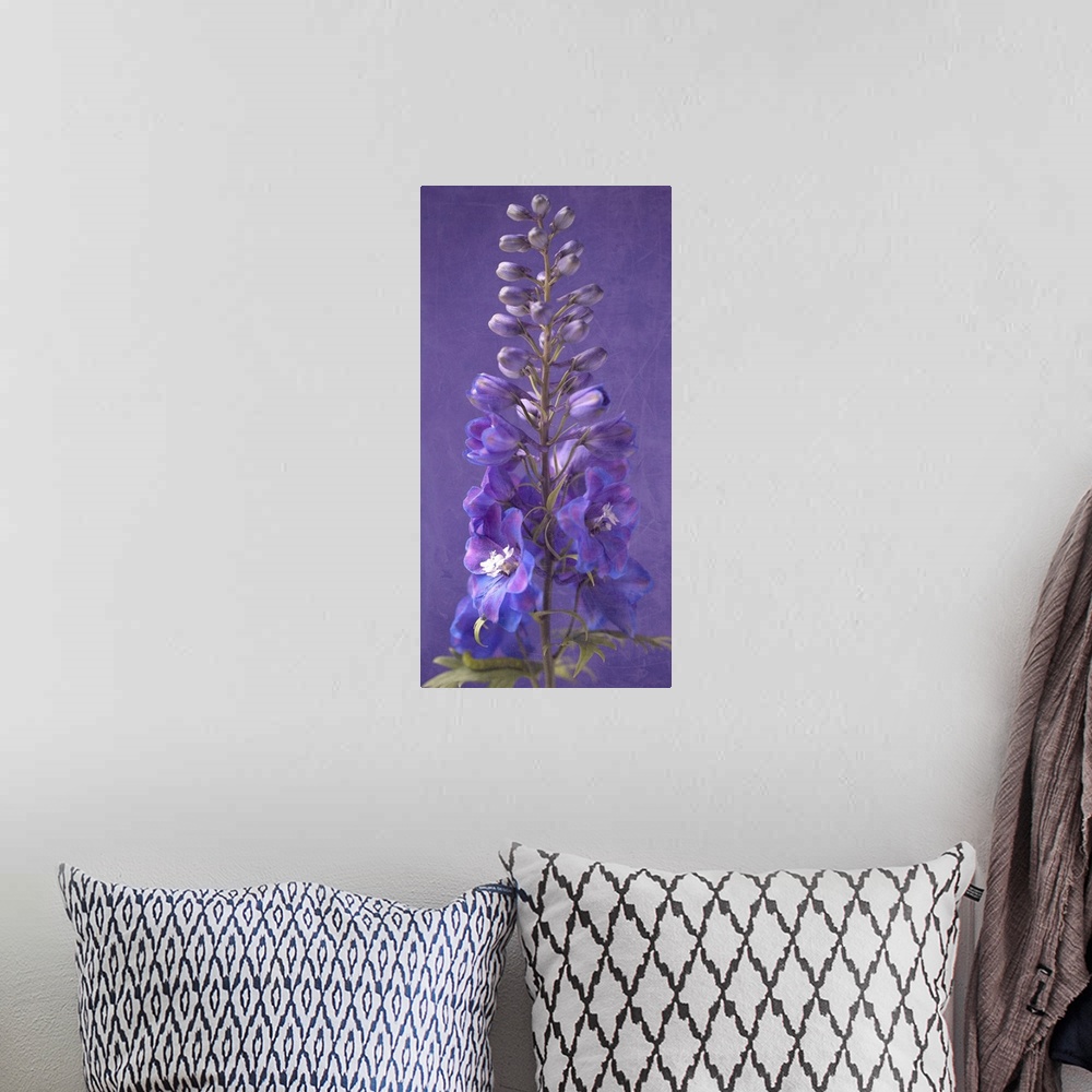 A bohemian room featuring Purple Foxgloves V