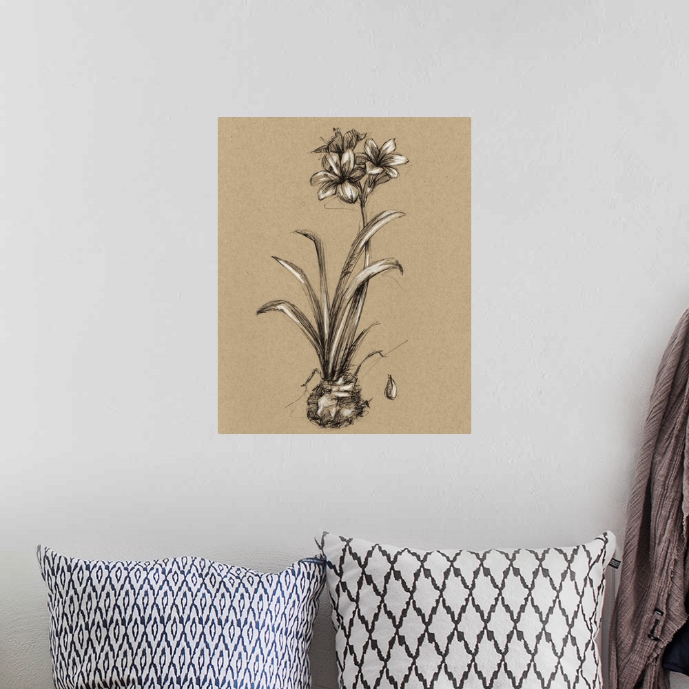 A bohemian room featuring Vintage Bloom Sketches II