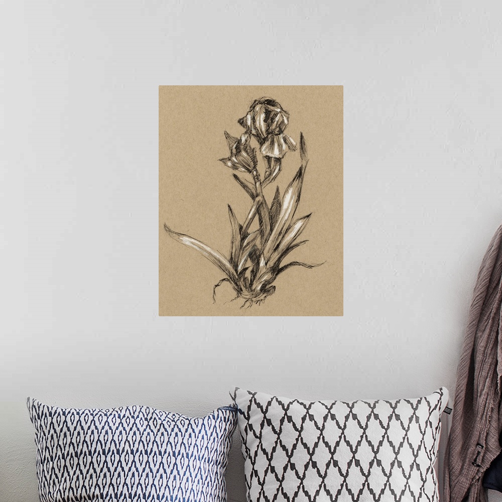 A bohemian room featuring Vintage Bloom Sketches VI