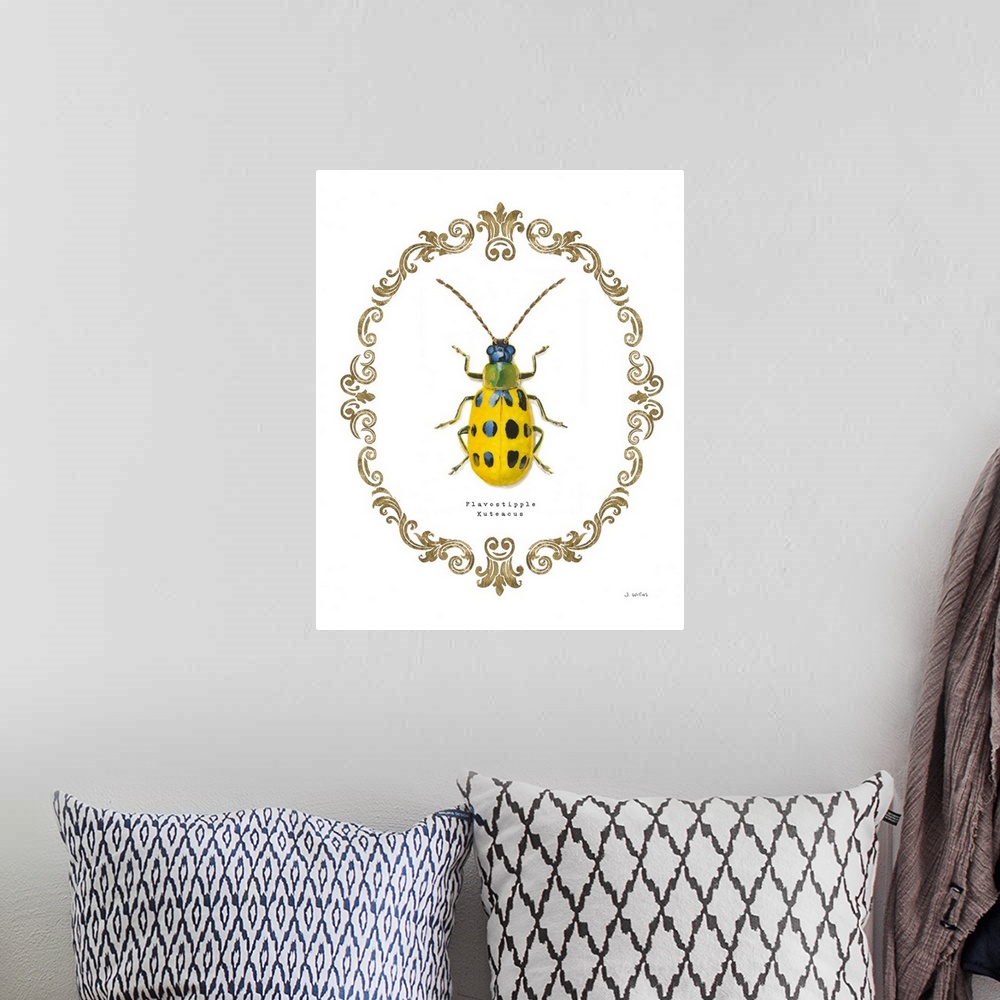 A bohemian room featuring Decorative artwork of beetle a surrounded by a baroque gold frame with the words, 'Flavostipple K...