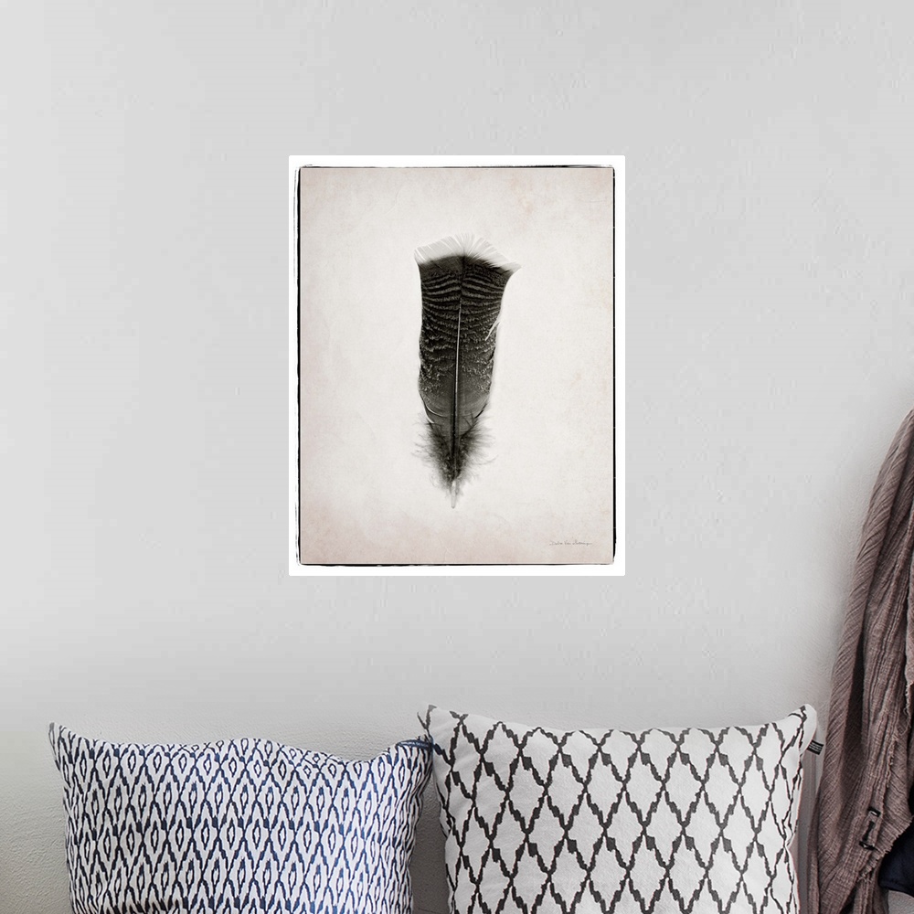 A bohemian room featuring A photograph of a feather against a gray background.