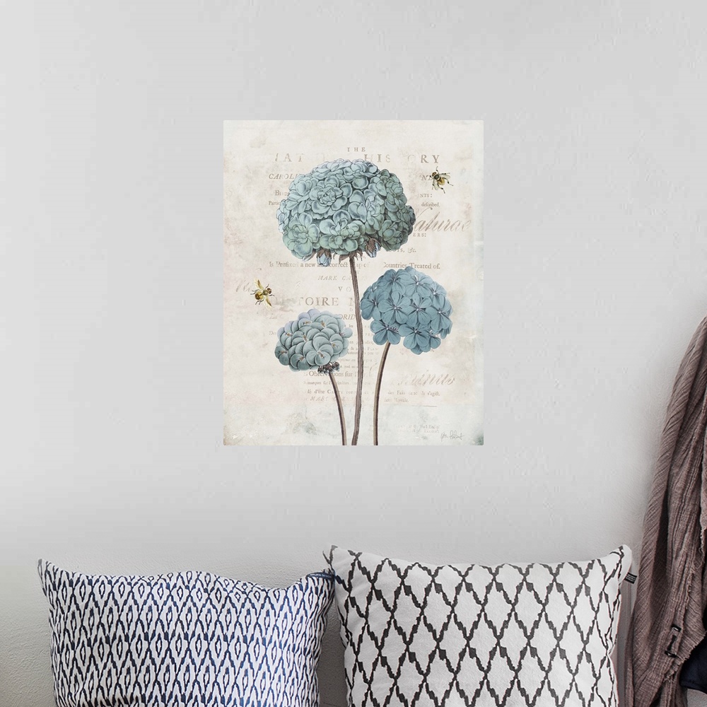 A bohemian room featuring Vintage illustration of blue geraniums and bumble bees with faded text on the background.
