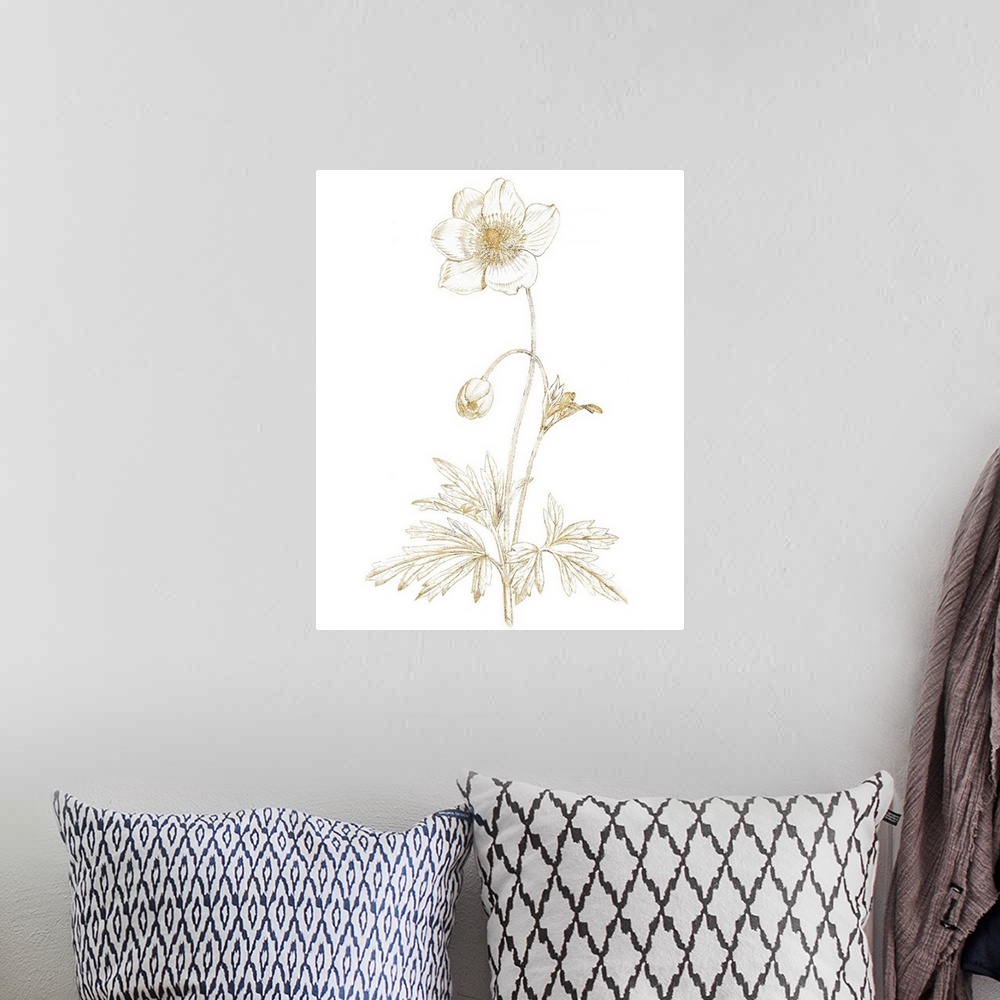 A bohemian room featuring Gold illustration of an anemone and flower bud on a solid white background.