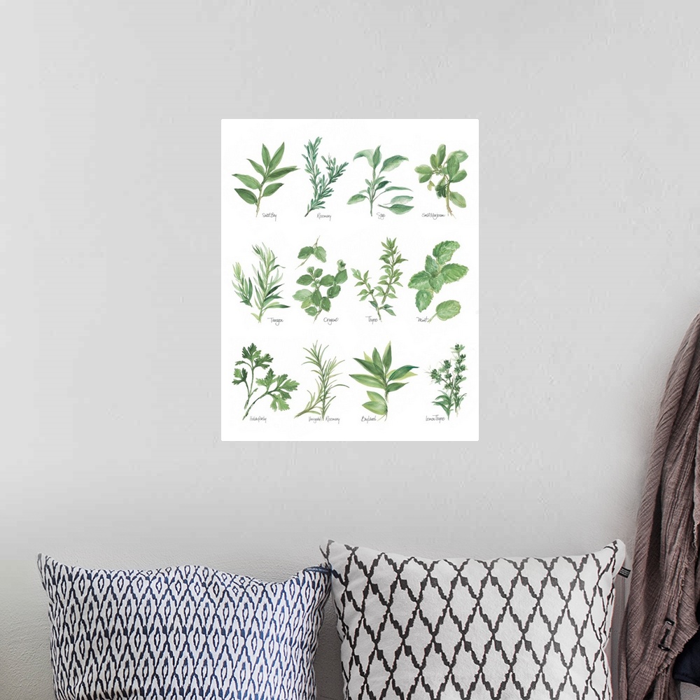 A bohemian room featuring Watercolor painted chart of various herbs with their titles underneath on solid white background.