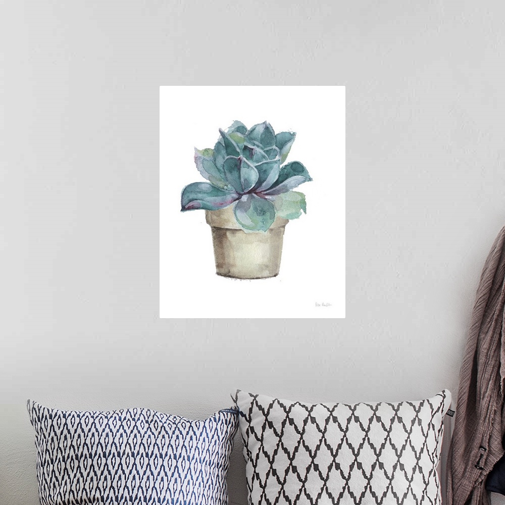 A bohemian room featuring Mixed Greens Succulent IV
