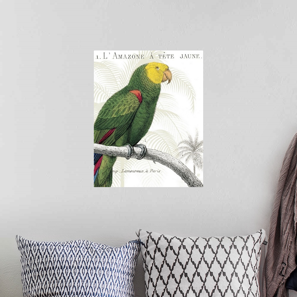 A bohemian room featuring Parrot Botanique I