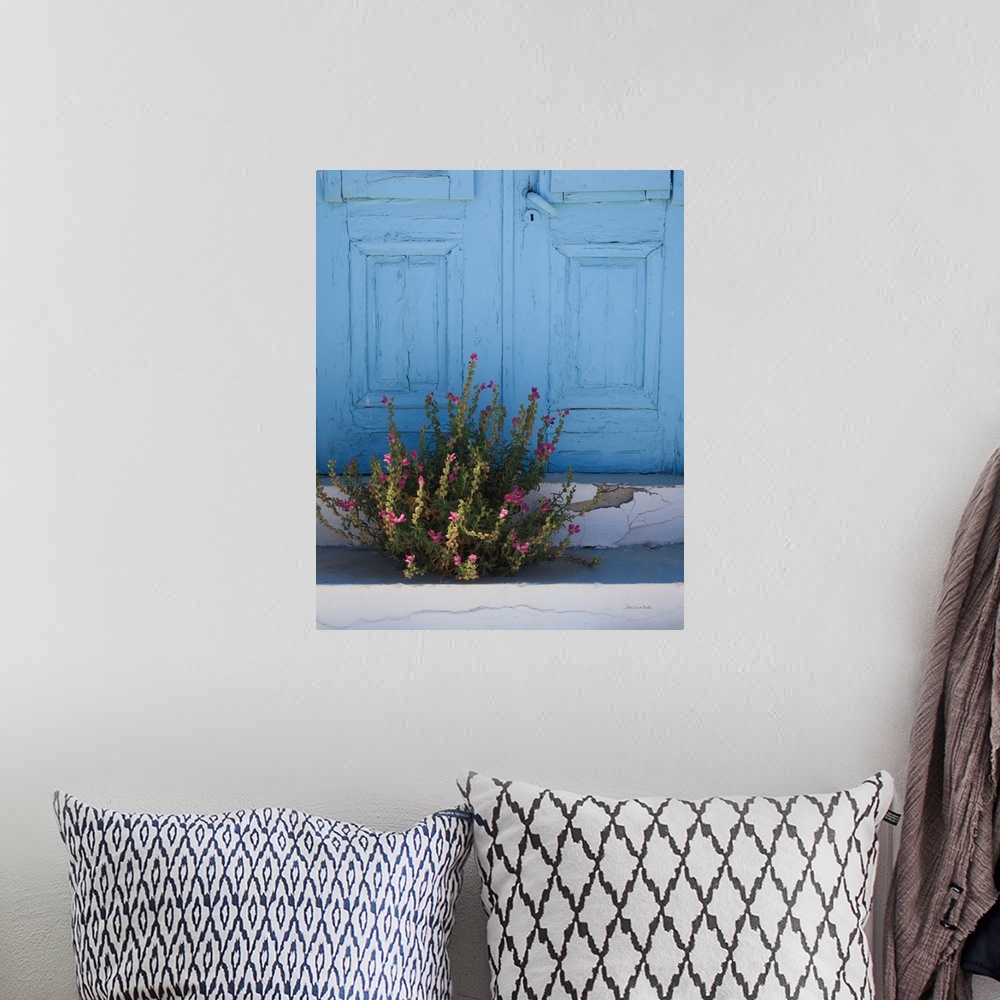 A bohemian room featuring Photograph of a bush with pink flowers growing in the cracks on the ground in front of a blue doo...