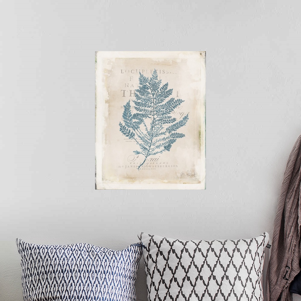 A bohemian room featuring Vintage style illustration of blue seaweed with faded text in the background.