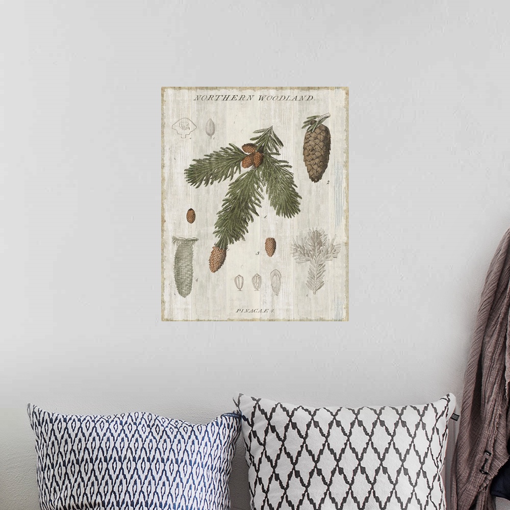 A bohemian room featuring Home decor artwork of a vintage rustic looking chart of trees.