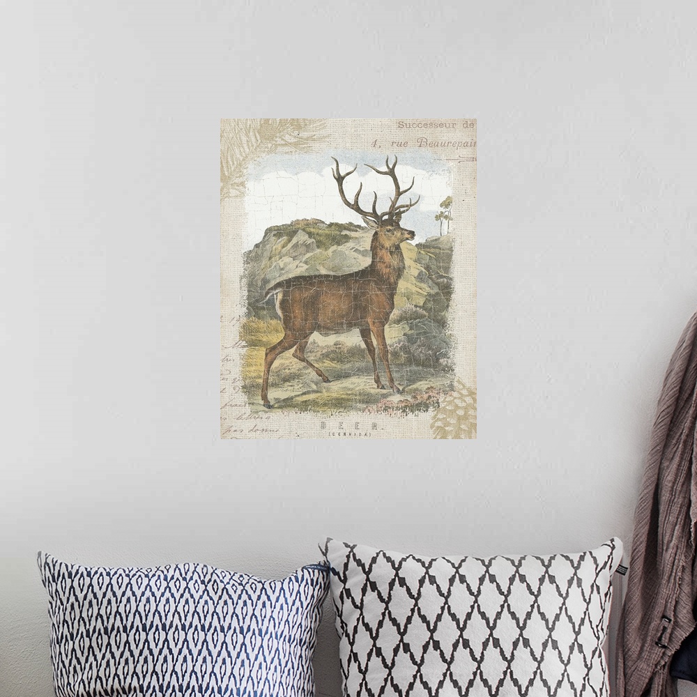 A bohemian room featuring Woodland Stag I