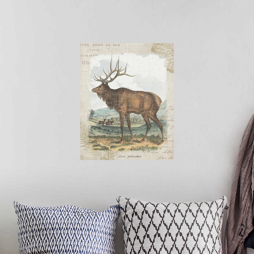 A bohemian room featuring Woodland Stag II