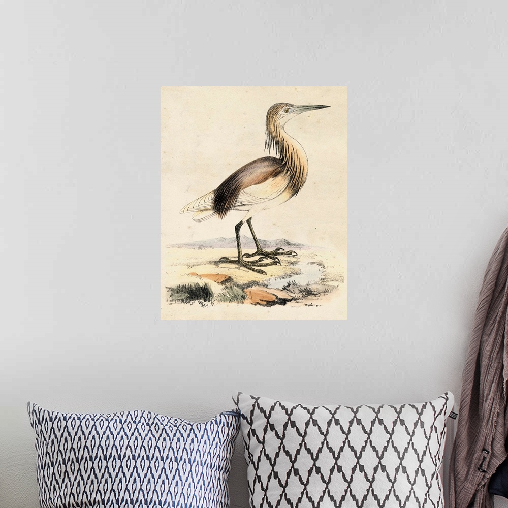 A bohemian room featuring Antique Heron I