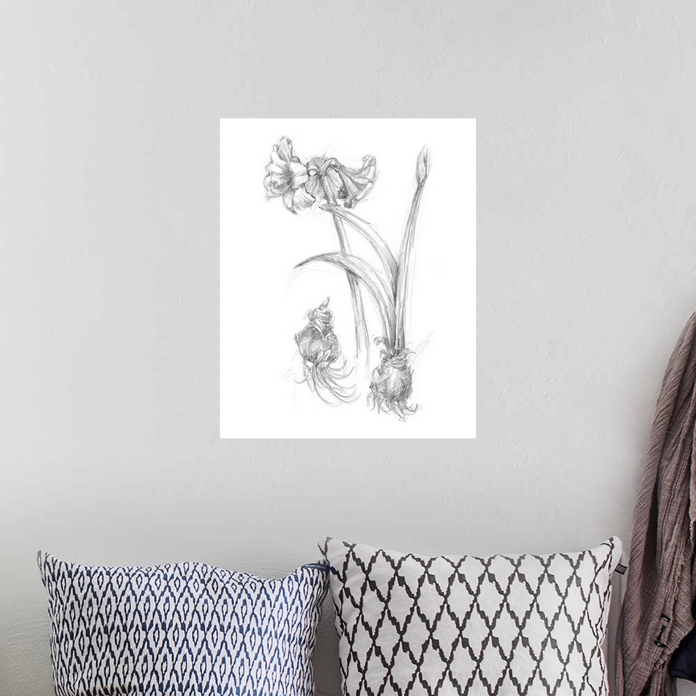 A bohemian room featuring Decorative print of a botanical drawing featuring a flower growing from a bulb.