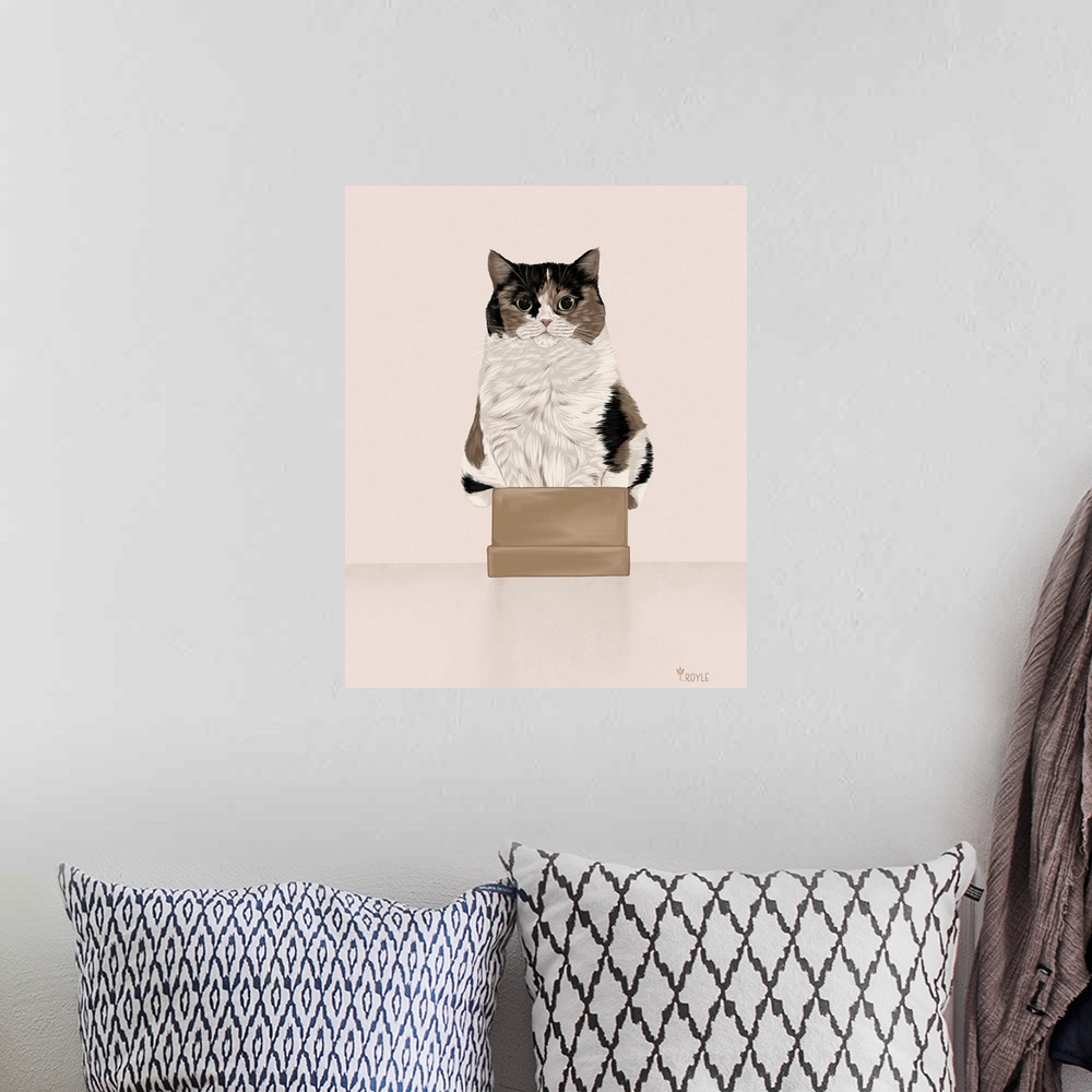 A bohemian room featuring Box Cat