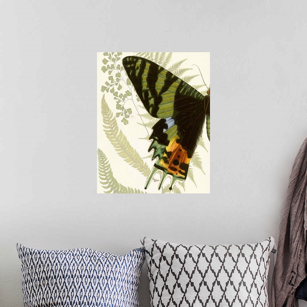 A bohemian room featuring A contemporary piece of artwork of a vintage stylized butterfly displaying of half of the butterfly.