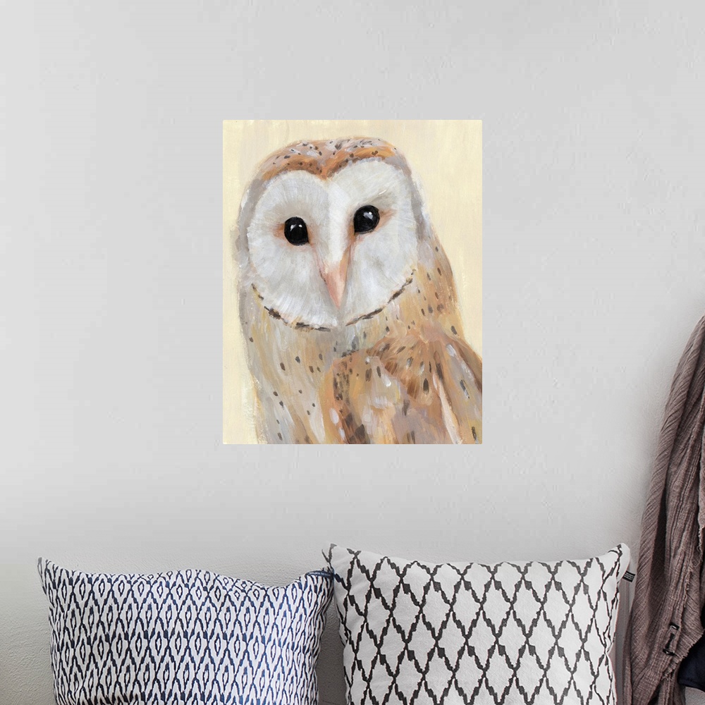 A bohemian room featuring Common Barn Owl I